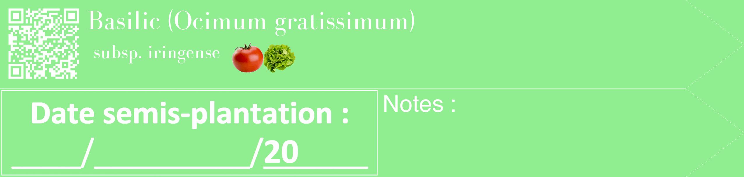 Étiquette de : Ocimum gratissimum subsp. iringense - format c - style blanche15_simple_simplebod avec qrcode et comestibilité simplifiée