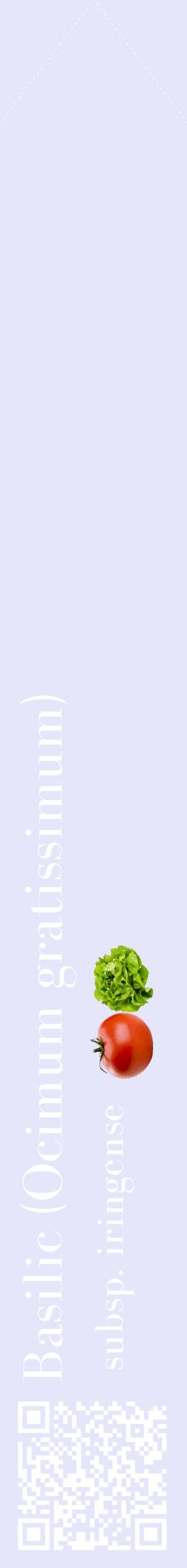 Étiquette de : Ocimum gratissimum subsp. iringense - format c - style blanche55_simplebod avec qrcode et comestibilité simplifiée