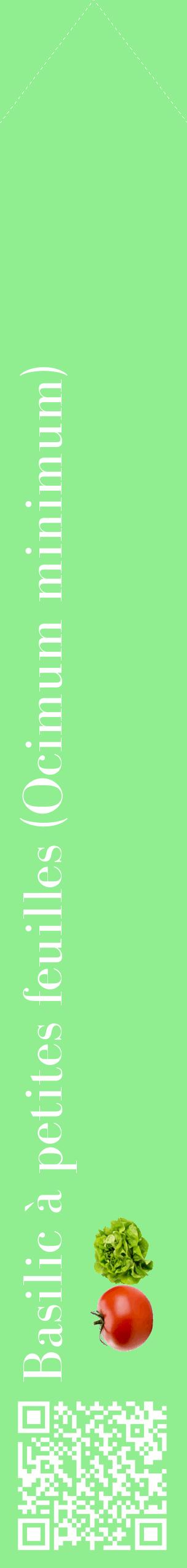 Étiquette de : Ocimum minimum - format c - style blanche15_simplebod avec qrcode et comestibilité simplifiée