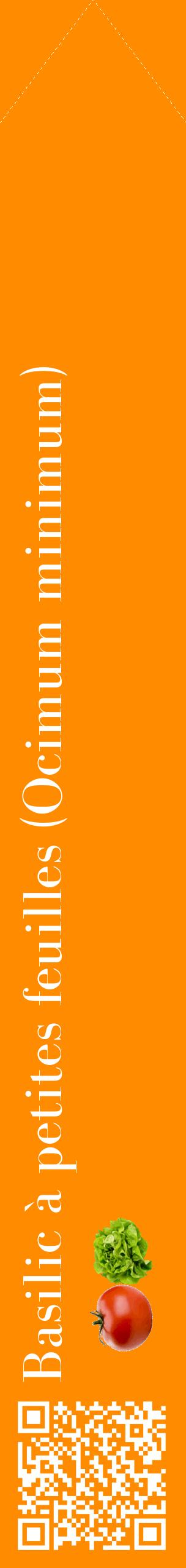 Étiquette de : Ocimum minimum - format c - style blanche23_simplebod avec qrcode et comestibilité simplifiée