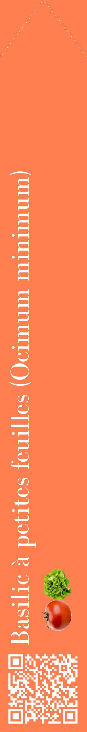 Étiquette de : Ocimum minimum - format c - style blanche24_simplebod avec qrcode et comestibilité simplifiée