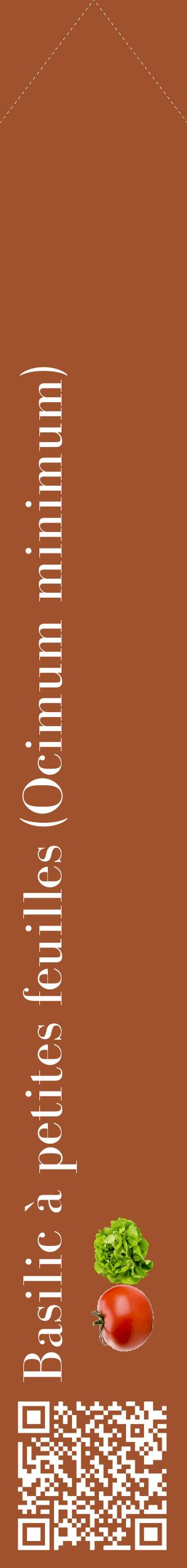 Étiquette de : Ocimum minimum - format c - style blanche32_simplebod avec qrcode et comestibilité simplifiée