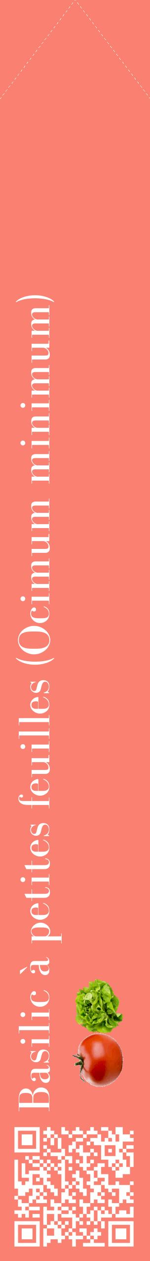 Étiquette de : Ocimum minimum - format c - style blanche38_simplebod avec qrcode et comestibilité simplifiée