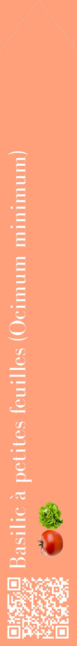 Étiquette de : Ocimum minimum - format c - style blanche39_simplebod avec qrcode et comestibilité simplifiée
