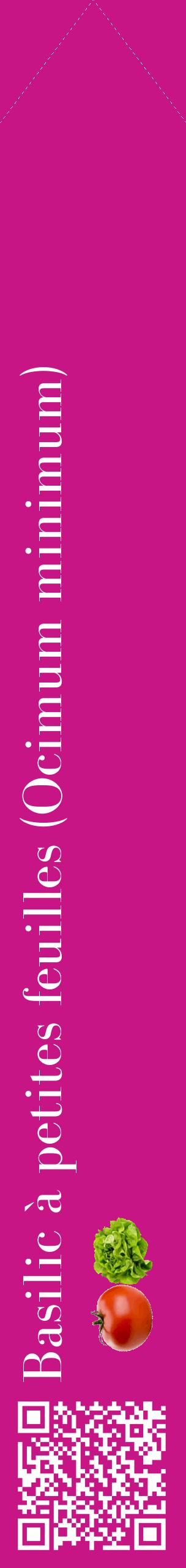 Étiquette de : Ocimum minimum - format c - style blanche45_simplebod avec qrcode et comestibilité simplifiée