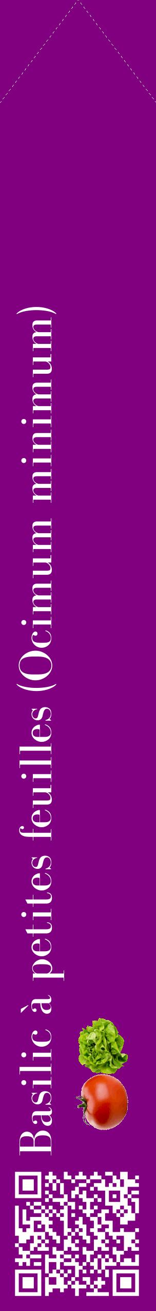 Étiquette de : Ocimum minimum - format c - style blanche46_simplebod avec qrcode et comestibilité simplifiée
