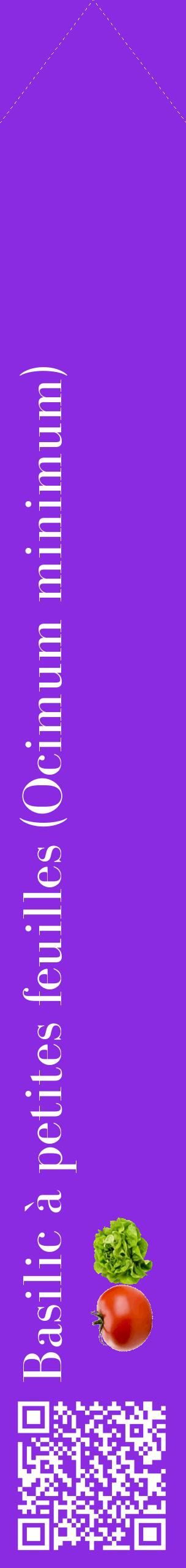 Étiquette de : Ocimum minimum - format c - style blanche49_simplebod avec qrcode et comestibilité simplifiée