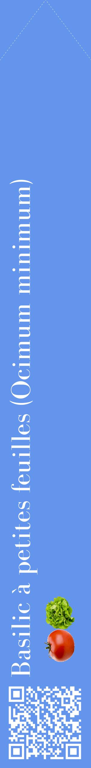 Étiquette de : Ocimum minimum - format c - style blanche4_simplebod avec qrcode et comestibilité simplifiée