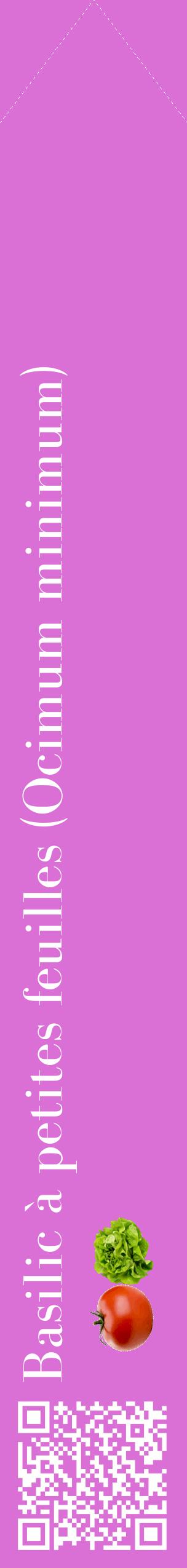 Étiquette de : Ocimum minimum - format c - style blanche52_simplebod avec qrcode et comestibilité simplifiée