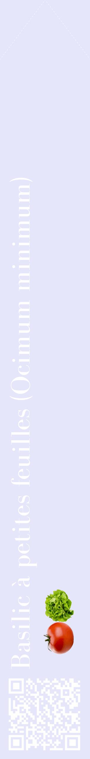 Étiquette de : Ocimum minimum - format c - style blanche55_simplebod avec qrcode et comestibilité simplifiée
