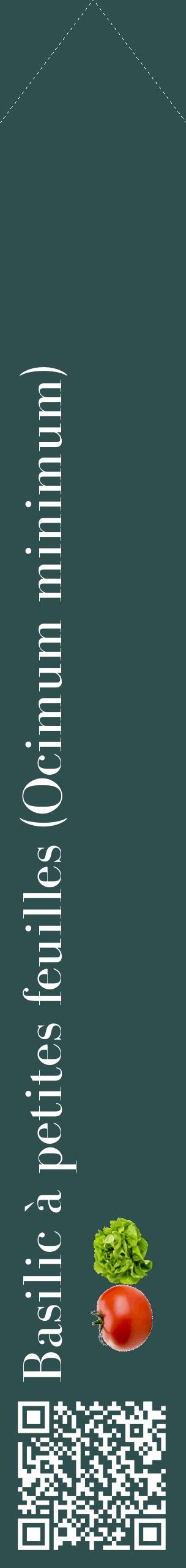 Étiquette de : Ocimum minimum - format c - style blanche58_simplebod avec qrcode et comestibilité simplifiée
