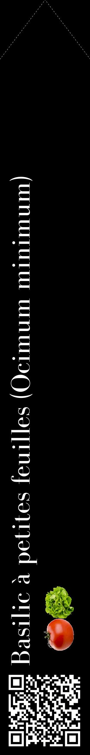 Étiquette de : Ocimum minimum - format c - style blanche59_simplebod avec qrcode et comestibilité simplifiée
