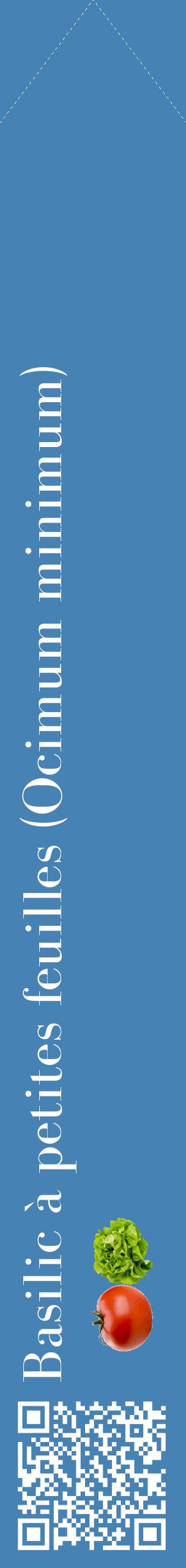 Étiquette de : Ocimum minimum - format c - style blanche5_simplebod avec qrcode et comestibilité simplifiée