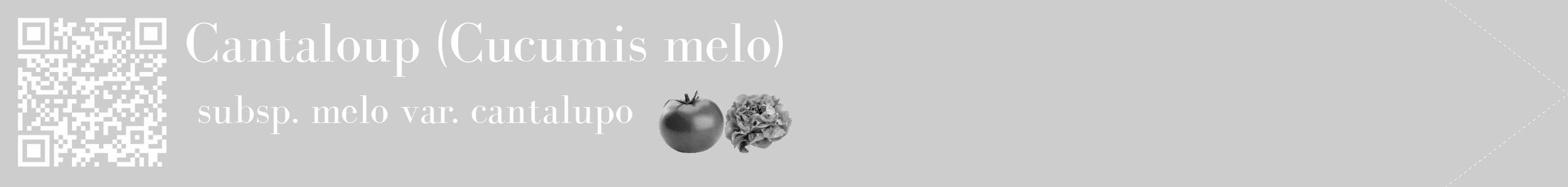 Étiquette de : Cucumis melo subsp. melo var. cantalupo - format c - style blanche41_simple_simplebod avec qrcode et comestibilité simplifiée