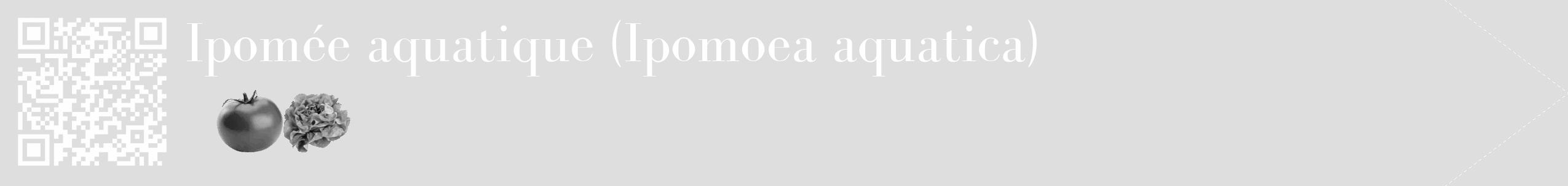 Étiquette de : Ipomoea aquatica - format c - style blanche20_simple_simplebod avec qrcode et comestibilité simplifiée