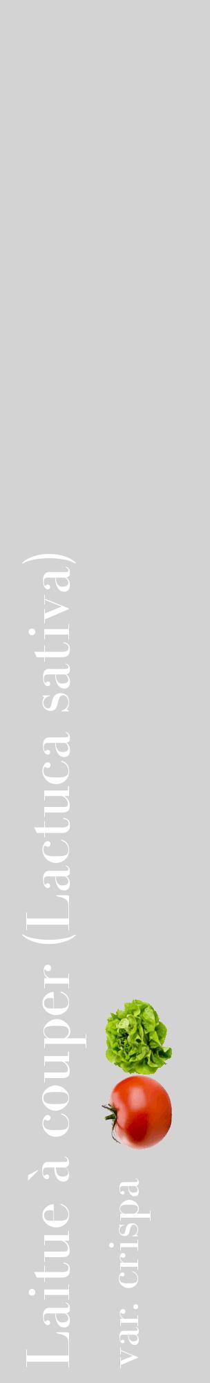 Étiquette de : Lactuca sativa var. crispa - format c - style blanche56_basiquebod avec comestibilité simplifiée