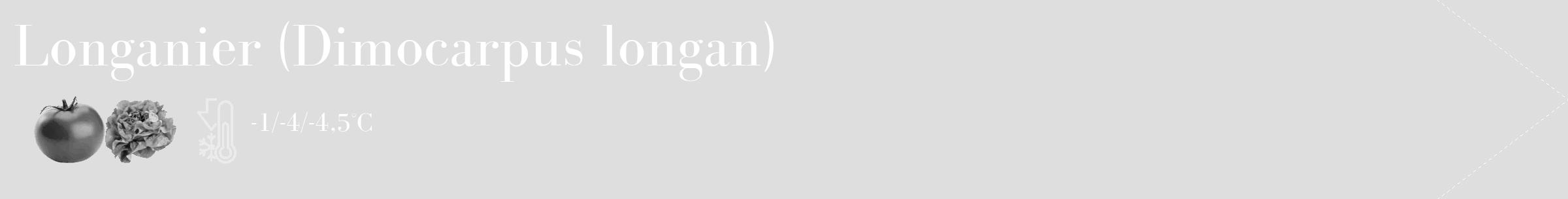 Étiquette de : Dimocarpus longan - format c - style blanche20_simple_simplebod avec comestibilité simplifiée