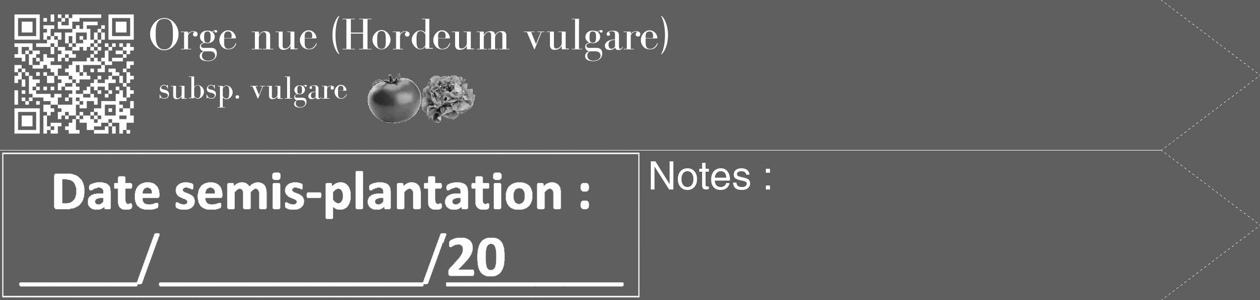 Étiquette de : Hordeum vulgare subsp. vulgare - format c - style blanche10_simple_simplebod avec qrcode et comestibilité simplifiée