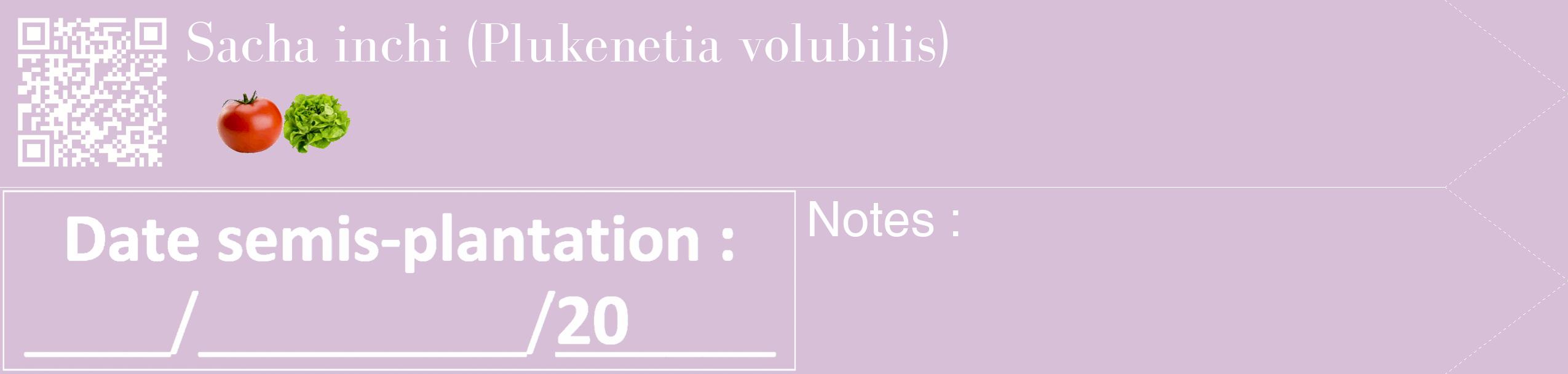 Étiquette de : Plukenetia volubilis - format c - style blanche54_simple_simplebod avec qrcode et comestibilité simplifiée
