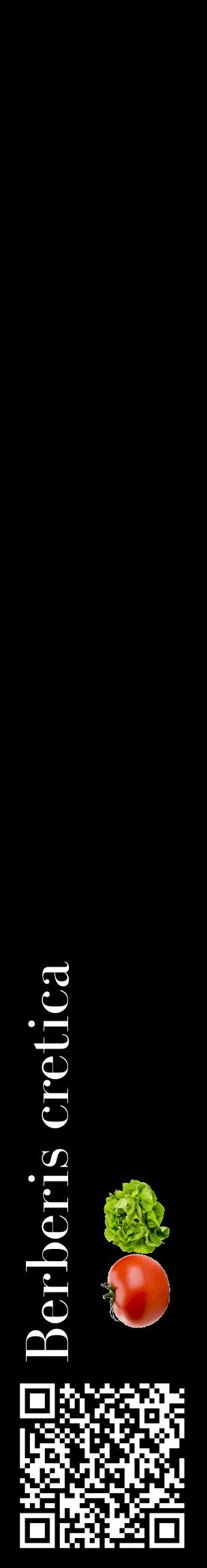 Étiquette de : Berberis cretica - format c - style blanche59_basiquebod avec qrcode et comestibilité simplifiée