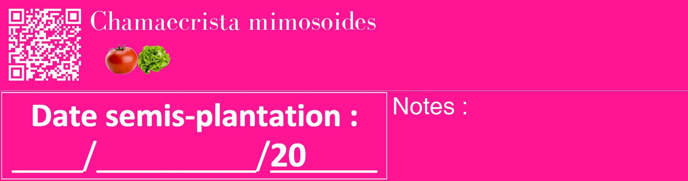 Étiquette de : Chamaecrista mimosoides - format c - style blanche43_basique_basiquebod avec qrcode et comestibilité simplifiée
