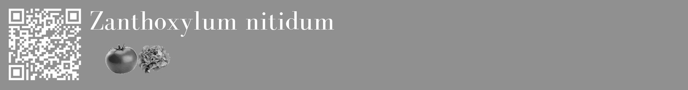 Étiquette de : Zanthoxylum nitidum - format c - style blanche4_basique_basiquebod avec qrcode et comestibilité simplifiée