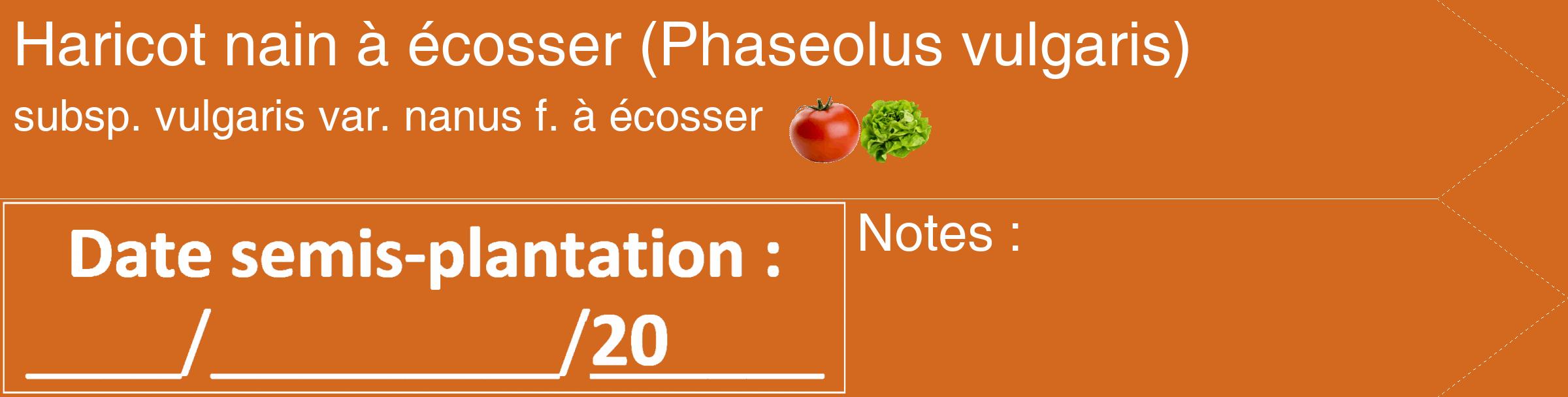 Étiquette de : Phaseolus vulgaris subsp. vulgaris var. nanus f. à écosser - format c - style blanche31_simple_simplehel avec comestibilité simplifiée