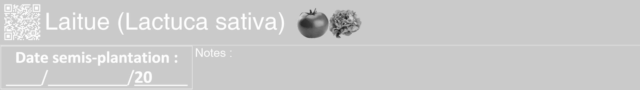 Étiquette de : Lactuca sativa - format a - style blanche21hel avec qrcode et comestibilité simplifiée