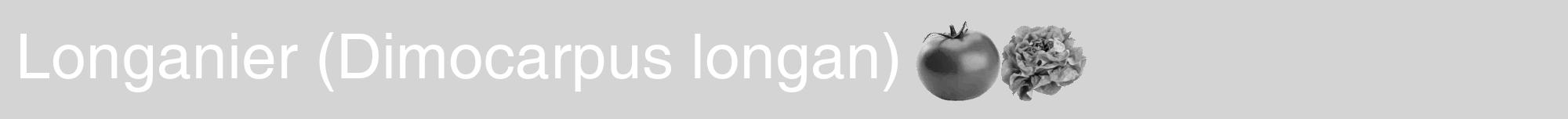 Étiquette de : Dimocarpus longan - format a - style blanche40hel avec comestibilité simplifiée
