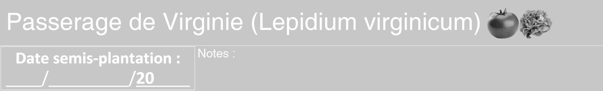 Étiquette de : Lepidium virginicum - format a - style blanche15hel avec comestibilité simplifiée