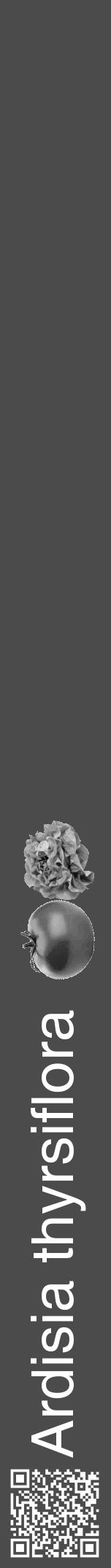 Étiquette de : Ardisia thyrsiflora - format a - style blanche9basiquehel avec qrcode et comestibilité simplifiée - position verticale