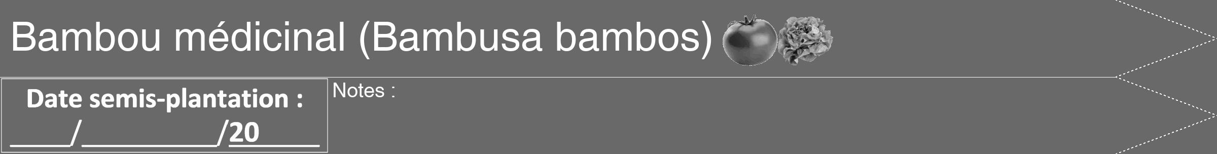 Étiquette de : Bambusa bambos - format b - style blanche51hel avec comestibilité simplifiée