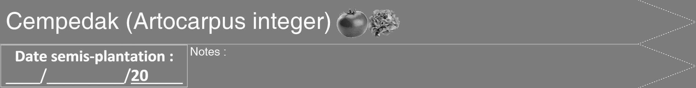 Étiquette de : Artocarpus integer - format b - style blanche35hel avec comestibilité simplifiée