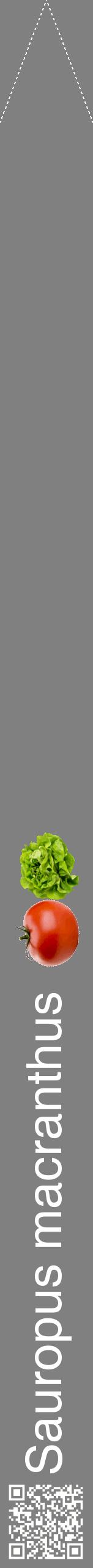 Étiquette de : Sauropus macranthus - format b - style blanche57hel avec qrcode et comestibilité simplifiée