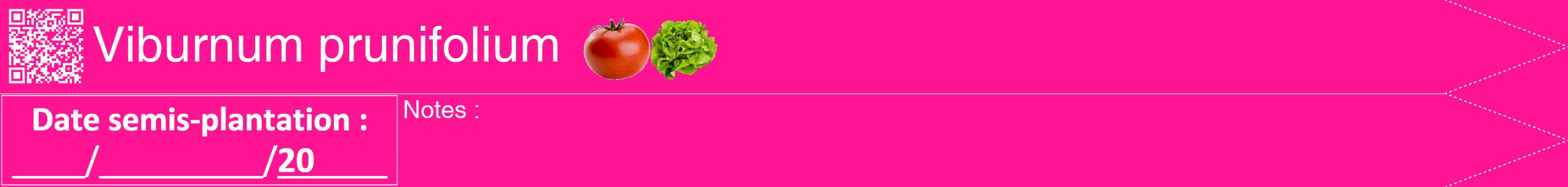 Étiquette de : Viburnum prunifolium - format b - style blanche43hel avec qrcode et comestibilité simplifiée