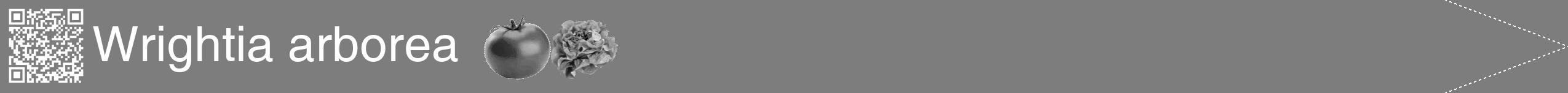 Étiquette de : Wrightia arborea - format b - style blanche35hel avec qrcode et comestibilité simplifiée