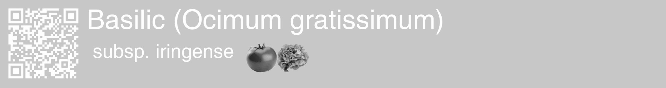 Étiquette de : Ocimum gratissimum subsp. iringense - format c - style blanche15_basique_basiquehel avec qrcode et comestibilité simplifiée
