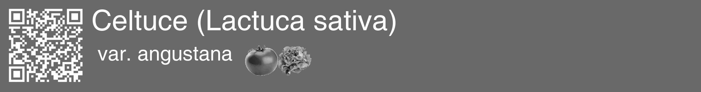 Étiquette de : Lactuca sativa var. angustana - format c - style blanche11_basique_basiquehel avec qrcode et comestibilité simplifiée