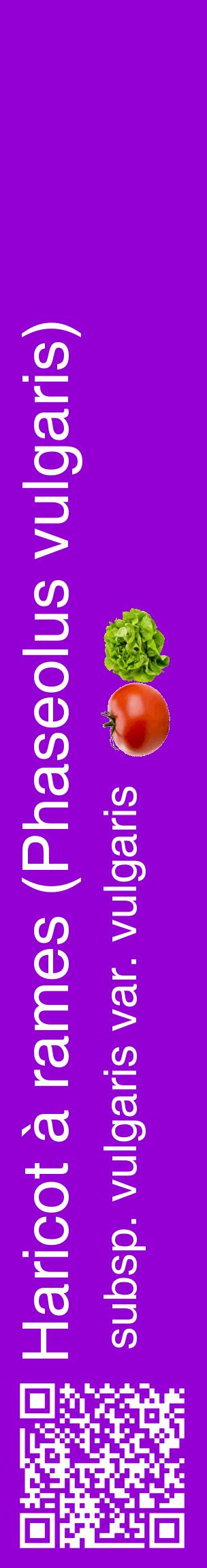 Étiquette de : Phaseolus vulgaris subsp. vulgaris var. vulgaris - format c - style blanche48_basiquehel avec qrcode et comestibilité simplifiée