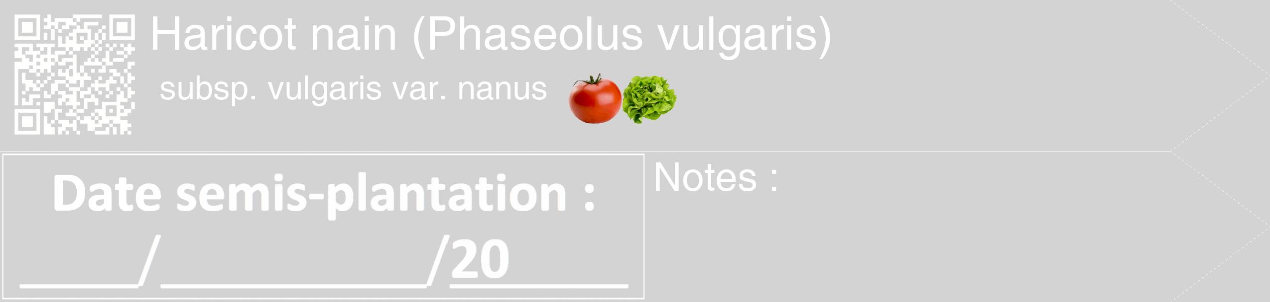Étiquette de : Phaseolus vulgaris subsp. vulgaris var. nanus - format c - style blanche56_simple_simplehel avec qrcode et comestibilité simplifiée