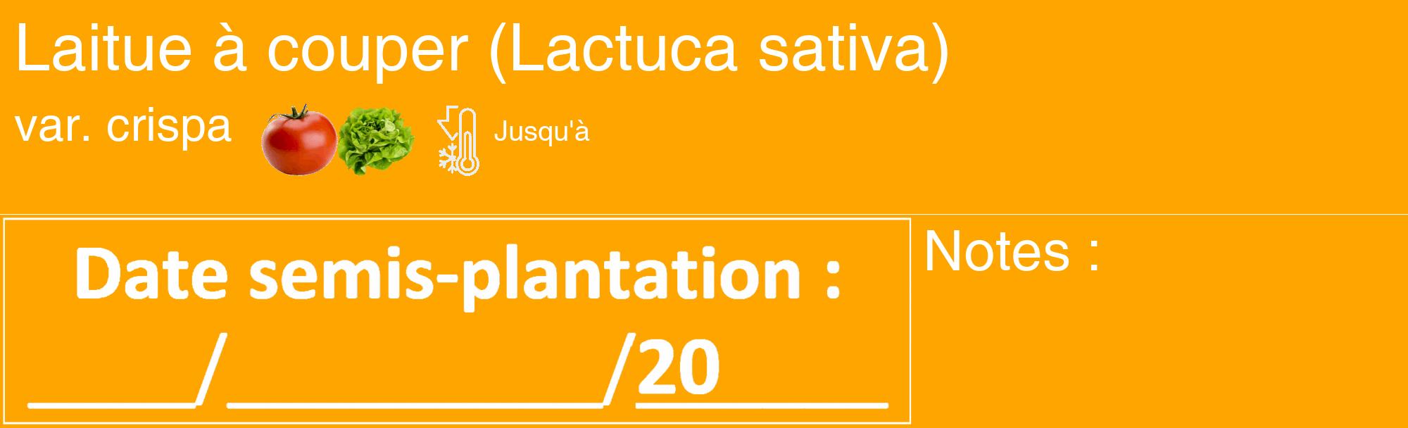 Étiquette de : Lactuca sativa var. crispa - format c - style blanche22_basique_basiquehel avec comestibilité simplifiée
