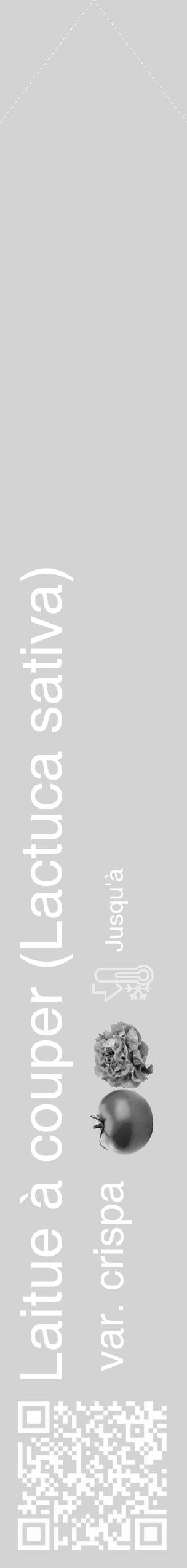 Étiquette de : Lactuca sativa var. crispa - format c - style blanche56_simple_simplehel avec qrcode et comestibilité simplifiée - position verticale