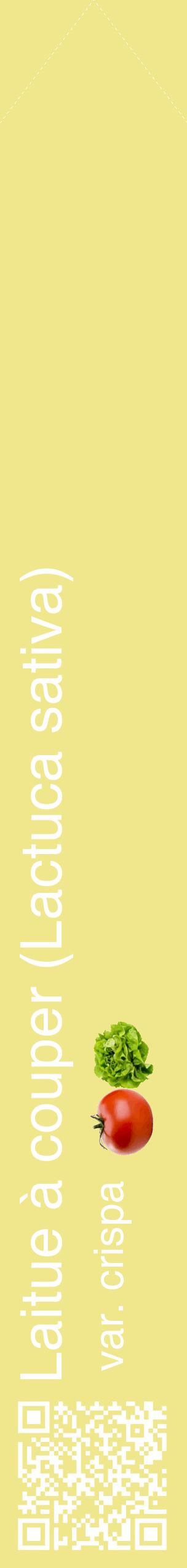 Étiquette de : Lactuca sativa var. crispa - format c - style blanche20_simplehel avec qrcode et comestibilité simplifiée