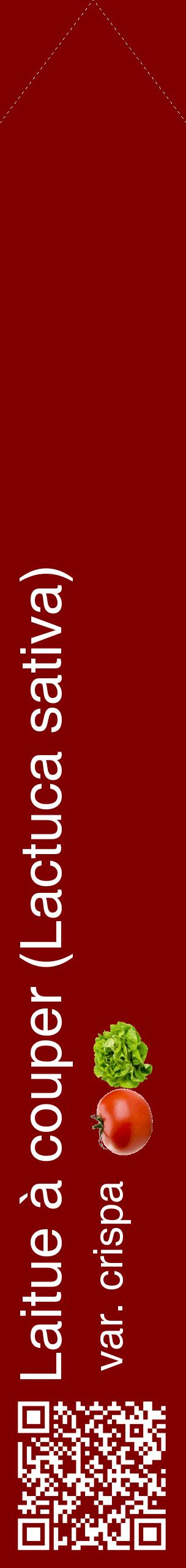 Étiquette de : Lactuca sativa var. crispa - format c - style blanche29_simplehel avec qrcode et comestibilité simplifiée