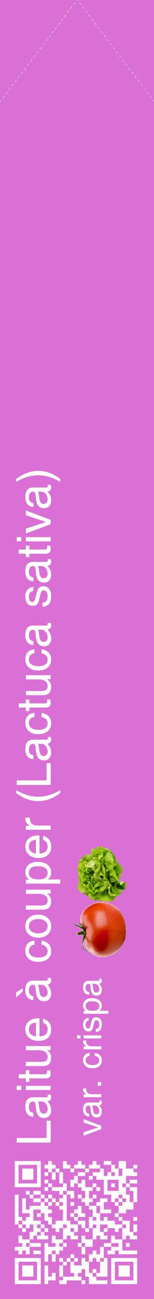 Étiquette de : Lactuca sativa var. crispa - format c - style blanche52_simplehel avec qrcode et comestibilité simplifiée