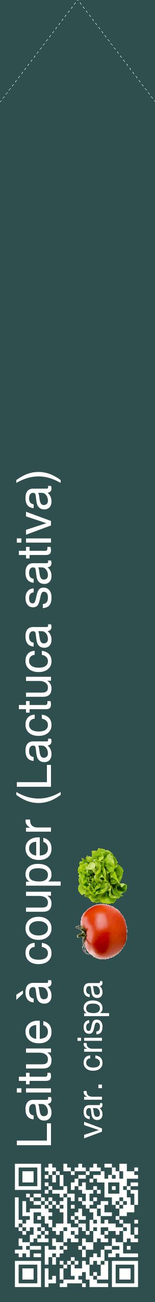Étiquette de : Lactuca sativa var. crispa - format c - style blanche58_simplehel avec qrcode et comestibilité simplifiée