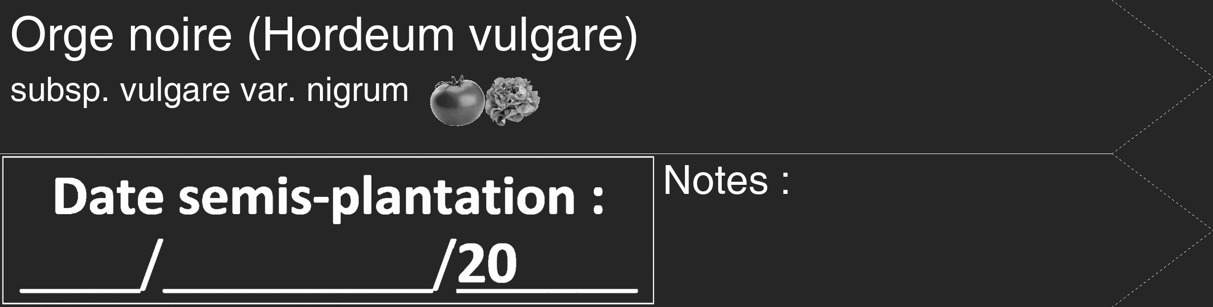 Étiquette de : Hordeum vulgare subsp. vulgare var. nigrum - format c - style blanche29_simple_simplehel avec comestibilité simplifiée