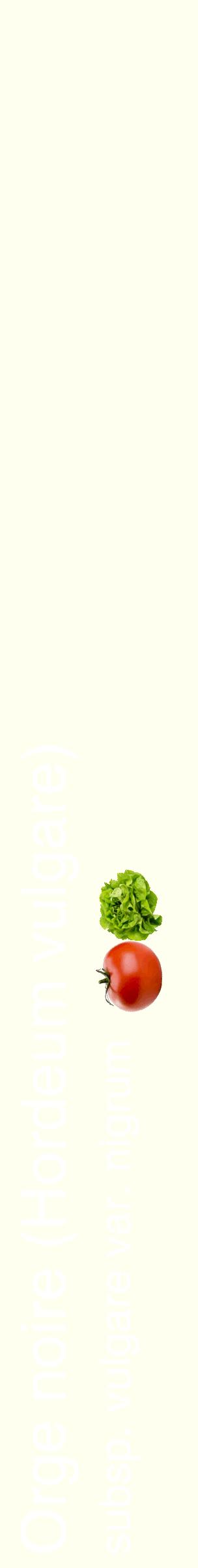 Étiquette de : Hordeum vulgare subsp. vulgare var. nigrum - format c - style blanche19_simplehel avec comestibilité simplifiée