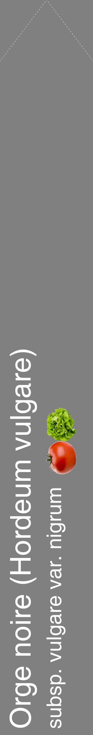 Étiquette de : Hordeum vulgare subsp. vulgare var. nigrum - format c - style blanche57_simplehel avec comestibilité simplifiée