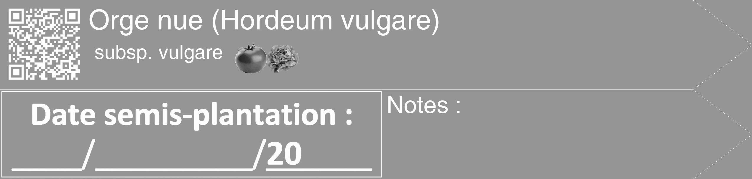 Étiquette de : Hordeum vulgare subsp. vulgare - format c - style blanche16_simple_simplehel avec qrcode et comestibilité simplifiée
